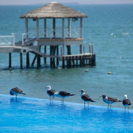Apartamento Frente A Islas Ballestas 帕拉卡斯 外观 照片