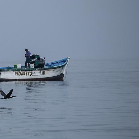 Apartamento Frente A Islas Ballestas 帕拉卡斯 外观 照片