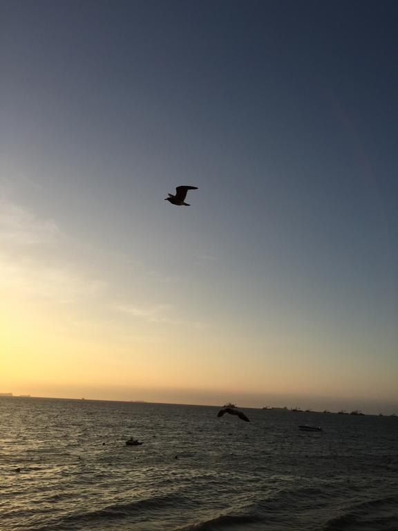 Apartamento Frente A Islas Ballestas 帕拉卡斯 客房 照片