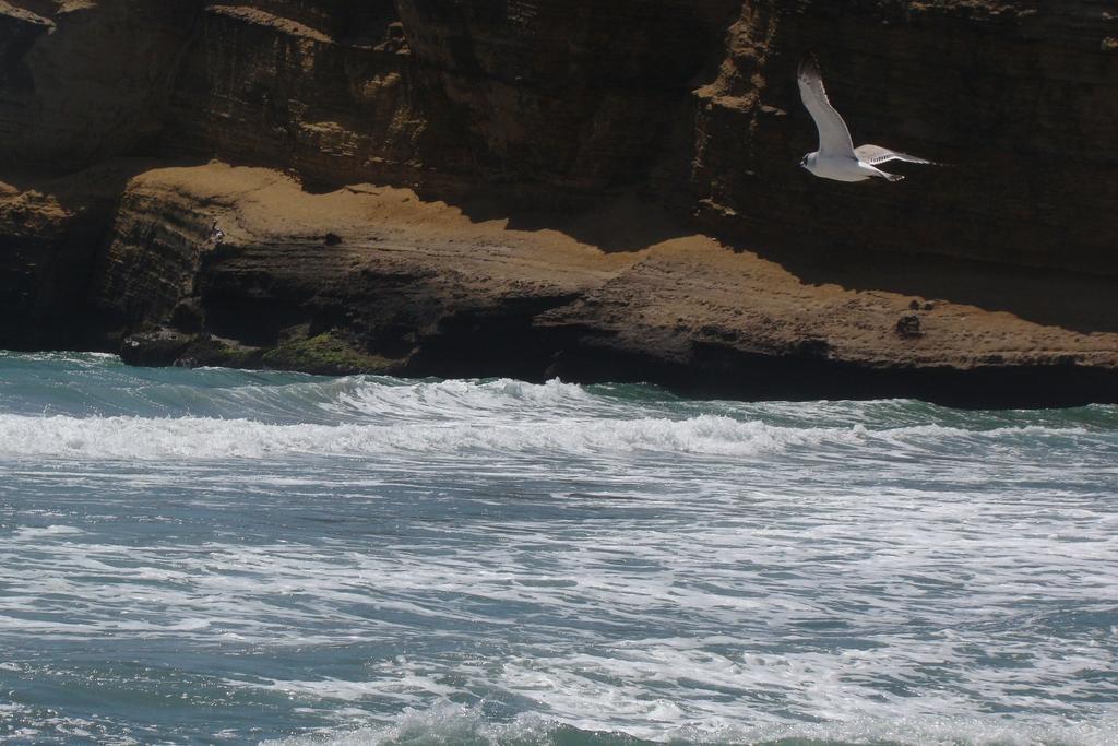 Apartamento Frente A Islas Ballestas 帕拉卡斯 外观 照片