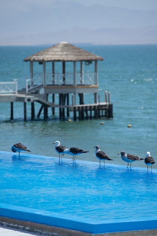Apartamento Frente A Islas Ballestas 帕拉卡斯 外观 照片
